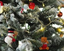 Запоріжцям пропонують ставити новорічні ялинки біля будинків