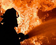 У Запоріжжі та Вільнянську рятувальники гасили пожежі у житлових будинках