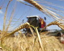 У Запорізький області окупанти зазіхнули на цьогорічний урожай озимих