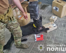 Не обдуриш і не підкупиш: як собака із Запоріжжя допомагає поліцейським розкривати злочини