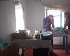 Запорізькі волонтери організували стерилізацію тварин біля зони бойових дій: подробиці