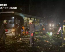 Пошкоджені авто та повалені дерева - які наслідки негоди у Запоріжжі (фото, відео)