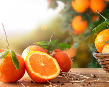 Як можна використовувати апельсинові шкірки у побуті – несподівані варіанти