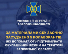 Депутатка, правоохоронці та інші прихильники росії - у Запоріжжі засудили п&#039;ятьох колаборантів