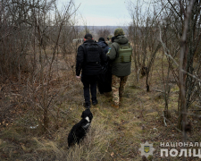 Збір грибів у замінованому лісі в Запорізькій області закінчився страшною трагедією - подробиці