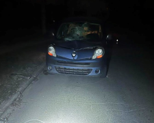 У Запоріжжі водій на іномарці збив пішоходку, яка переходила дорогу при поганому освітленні