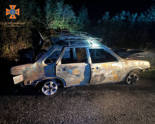 У Запорізькому районі автомобіль збив корову й загорівся - подробиці