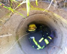У Запоріжжі врятували собаку, який впав у каналізаційну яму (фото)