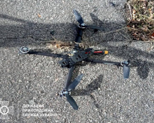 Прикордонники знешкодили ворожі дрони з вибухівкою на Запорізькому напрямку – фото