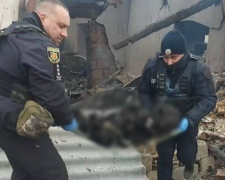 Згорів у власному будинку – пенсіонер з Малої Токмачки загинув внаслідок російського обстрілу (фото)