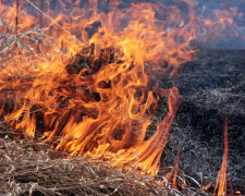 Спалювання сухої трави та листя – які штрафи прийдеться заплатити запоріжцям у разі підпалу