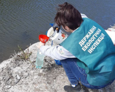 Загибель риби в районі Вирви - у Запоріжжі екологи зафіксували відхилення від норми показників води (фото)