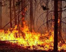 У Запорізькій області рятувальники ліквідували до півсотні пожеж