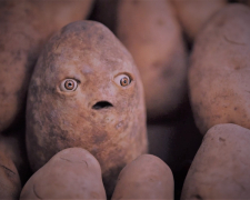 Найдорожча за всю історію - у Запоріжжі зросли ціни на картоплю
