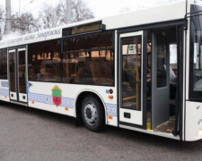 У Запоріжжі популярний тролейбусний маршрут замінять автобусним: подробиці