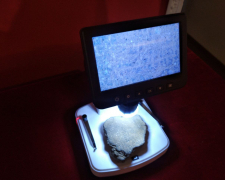 Найцікавіше - в мікроскопі: запорізькі археологи знайшли рідкісний артефакт (фото)