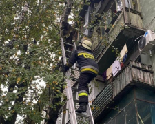 У Запоріжжі рятувальники зняли переляканого кота з дерева з допомогою  трьохколінної драбини