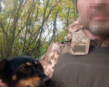 Військовий врятував собаку, пораненного під час ворожого обстрілу на Запорізькому напрямку