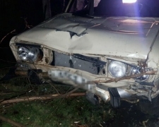 У Запорізькій області п&#039;яний водій збив насмерть двох пішоходів