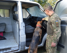Службові собаки на війні – як чотирилапі допомагають запорізьким гвардійцям-кінологам у роботі