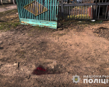 У Запорізькій області чоловік загинув від ворожого осколку на власному подвір'ї