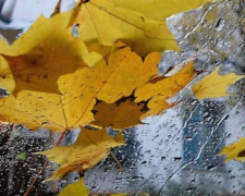 Чи треба брати парасольку – якою буде погода у Запоріжжі найближчими днями