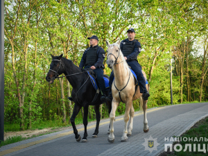 Охороняють заповідні зони - у Запоріжжі розпочав роботу кінний патруль (фото)