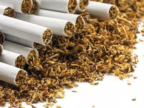 Через війну тютюн стає хітом дачно-городнього сезону на Запоріжжі