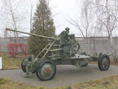 Росіяни привезли в Запорізьку область 80-річні гармати