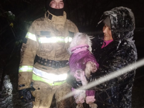 У Запоріжжі песик провалився у засипаний снігом льох - як рятували чотирилапого