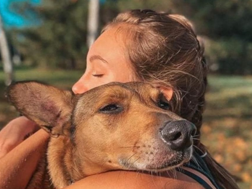 День подяки собакам: запоріжцям пропонують взяти участь у незвичайній акції