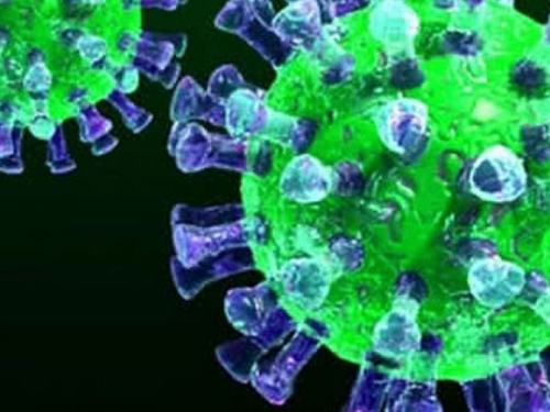 В Запорожской области стремительно увеличивается количество больных коронавирусом