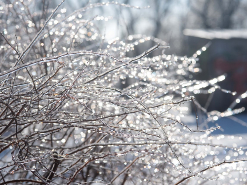 Кришталева краса - парк у центрі Запоріжжя вкрився снігом та льодом (фото)