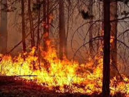 У Запорізькій області рятувальники ліквідували до півсотні пожеж