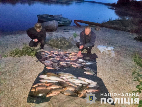 Жителі селища під Запоріжжям наловили риби на понад 220 тисяч гривень