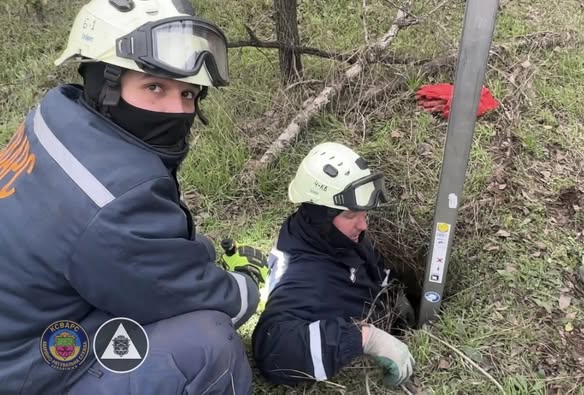 Тварина повернулася на волю - у Запоріжжі рятувальники витягли борсука з каналізаційної шахти (фото)