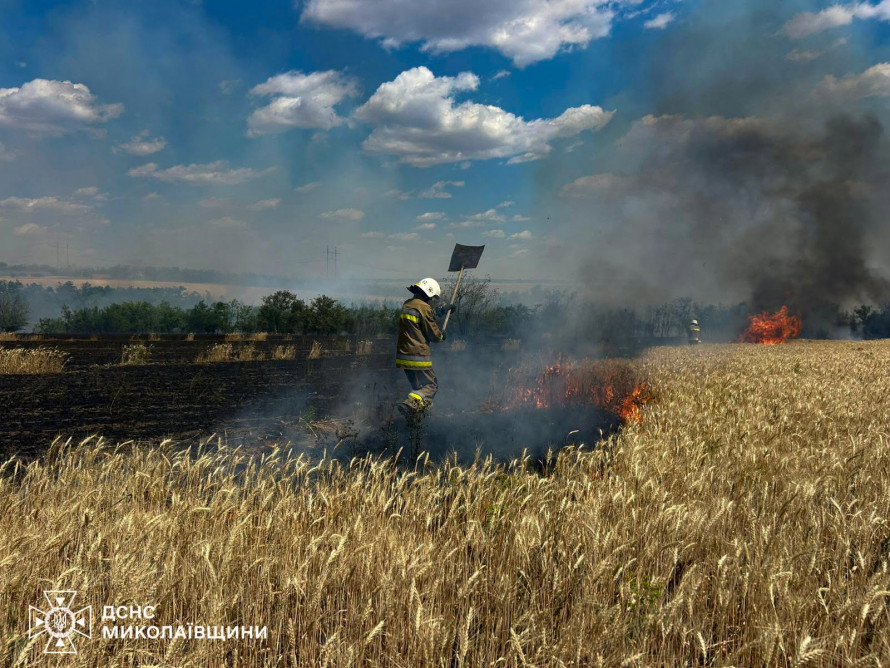Росіяни знищили 1850 гектарів посівів: як Запорізька область проводить жнива під обстрілами
