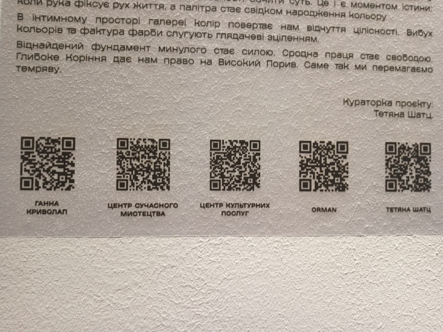 Київська художниця занурила запоріжців у магію кольору - фото