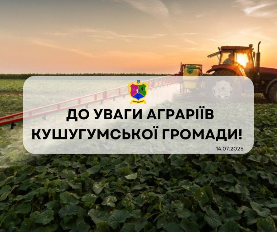 Громада у Запорізькій області потерпає від нашестя сарани - місцева влада розповіла, як буде боротись зі шкідником