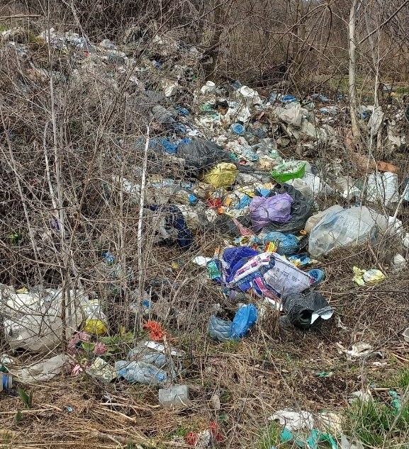 Екологи провели перевірки: в трьох районах Запоріжжя знайшли стихійні звалища (фото)