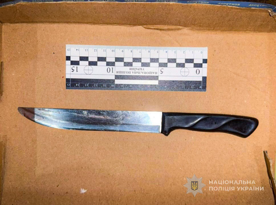 Смертельний удар під час застілля: у Запоріжжі жінка намагалася видати вбивство за самогубство