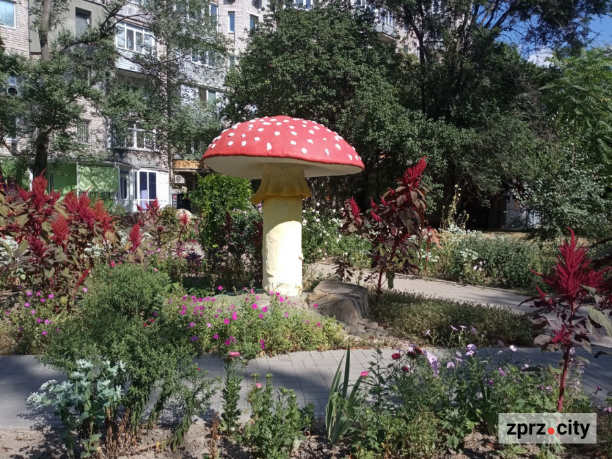 Мухомор бажань, черепаха та дерева у "светрах": де у Запоріжжі побачити незвичайну локацію (фото)