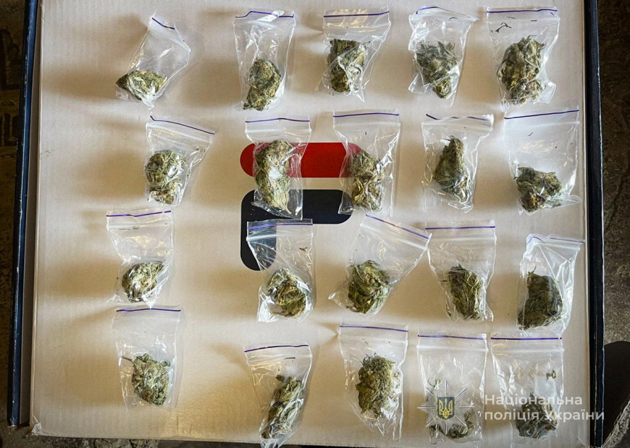 Торгував канабісом «з рук в руки»: у Запоріжжі спіймали наркоділка на гарячому (фото)