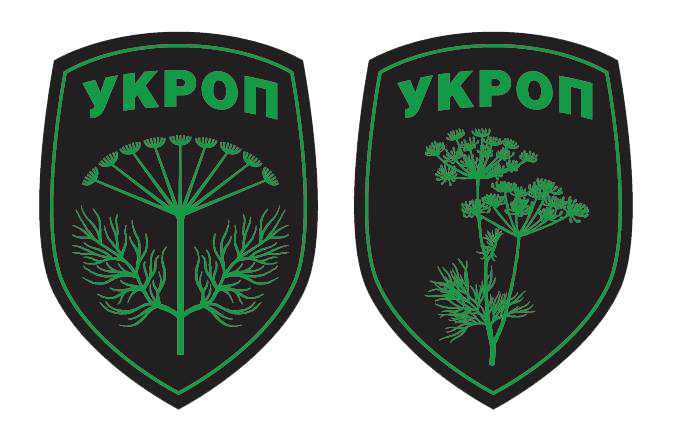 У Запоріжжі розписав стіни лауреат Шевченківської премії - ексклюзивне інтерв'ю