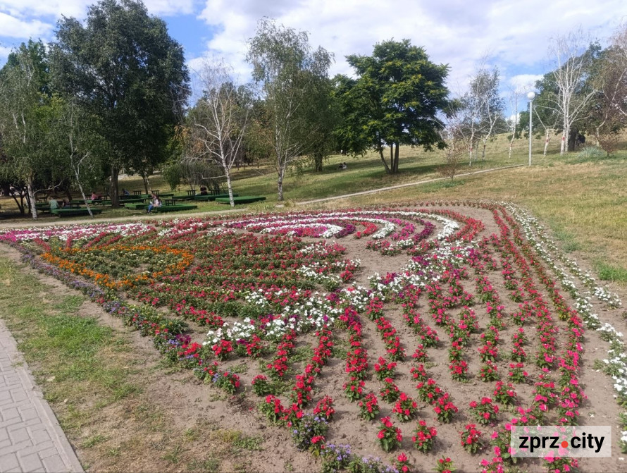 Як Вознесенівський парк Запоріжжя виглядає на початку липня - фото