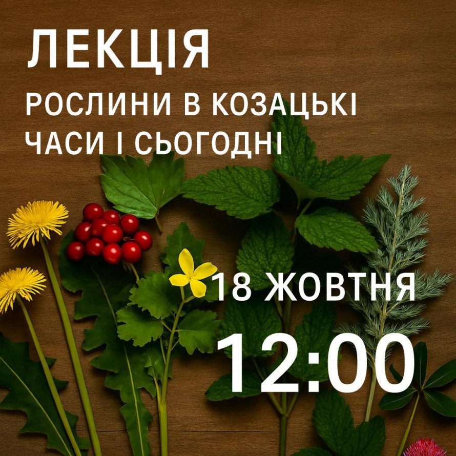 Прем'єра чорної комедії, театральний фестиваль і нові виставки - як цікаво провести час у Запоріжжі найближчими днями