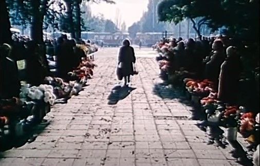Гості з великого екрана – як у запоріжців прямо вдома знімали кіно