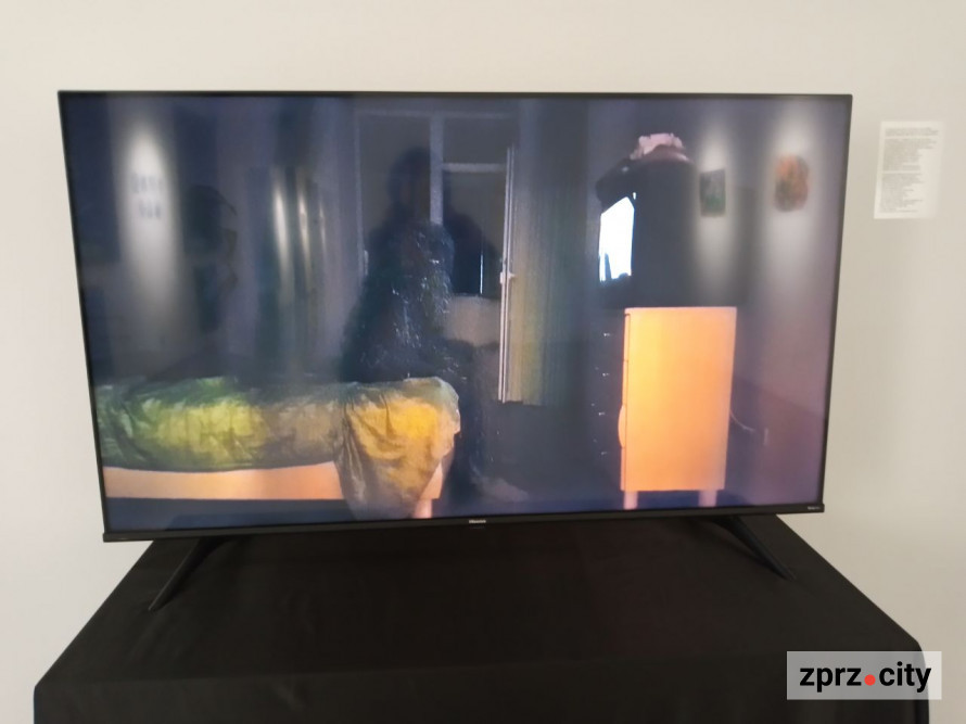 Як у соцмережах: у Запоріжжі відкрили виставку про не цивільне життя (фото)