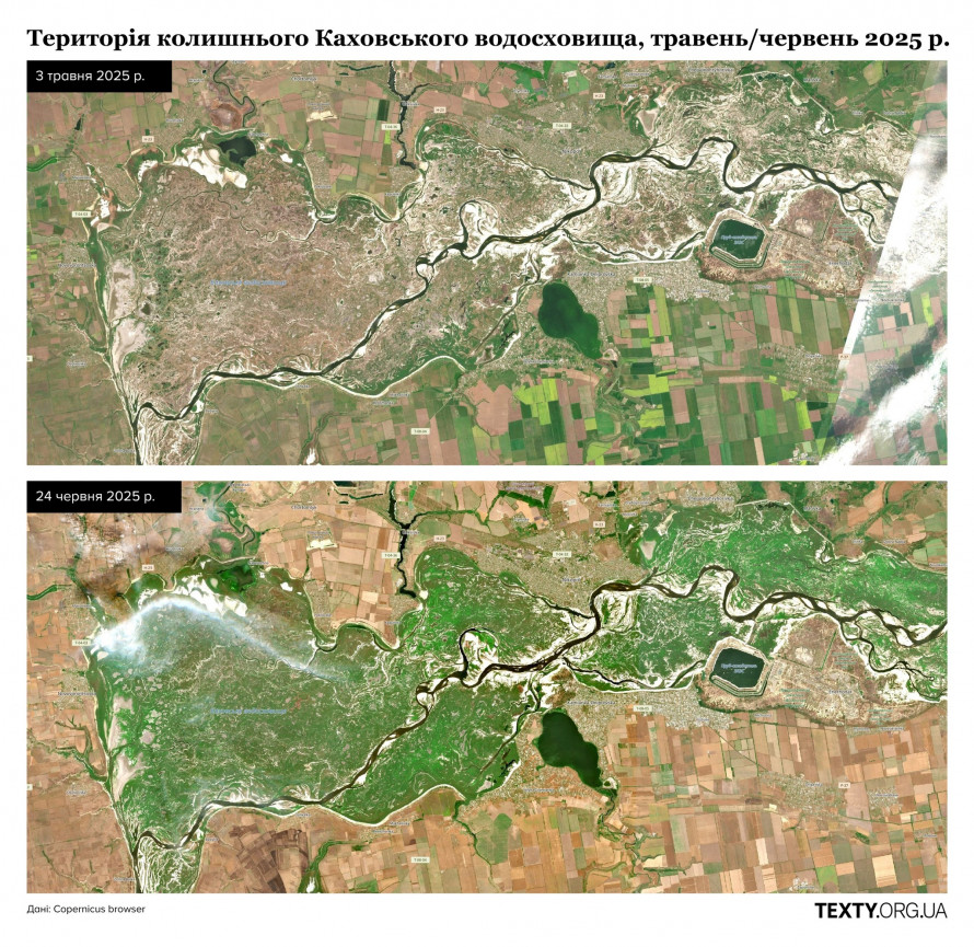 У Запорізькій області Великий Луг зростає без води - як змінилось колишнє Каховське водосховище (фото, відео)