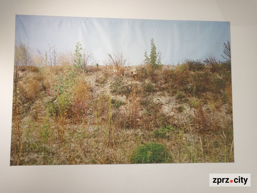 Череп Буратино: у Запоріжжі відкрили виставку про філософію брехні - фото